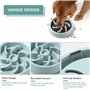 Vinabo Gamelle Anti Glouton Chien Chat d'alimentation Lente Favorise Alimentation Saine et Digestion Lente, Gamelle pour Chien A