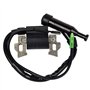 Ouyfilters Carkio Bobine d’allumage de Rechange pour Moteur de Tondeuse à Gazon Honda Gx110 Gx120 Gx140 Gx160 Gx200 5 CV 6