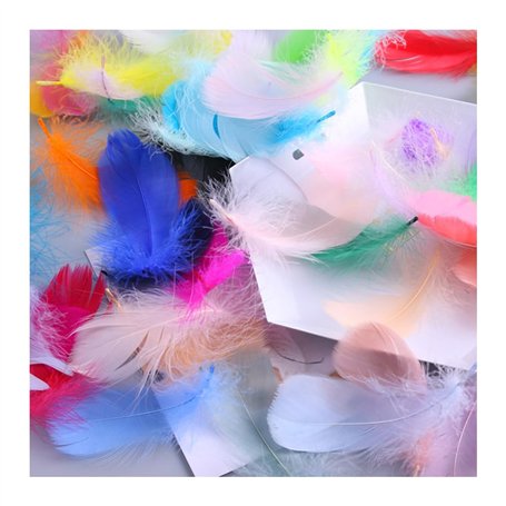 YZROHYI 400 Pièces Plumes Colorées