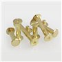 Chicago Vis Fixation en laiton - 80 Pcs 8 tailles M5 x 6-20 mm Rivets à ongles Pour Cuir Ceinture bricolage Décoration, Tige Ron