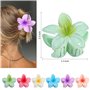 kinoco Pince Cheveux Lot de 6 Pinces à Cheveux Fleur Hawaïenne, Accessoires pour Cheveux Épais, Multicolore