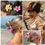 kinoco Pince Cheveux Lot de 6 Pinces à Cheveux Fleur Hawaïenne, Accessoires pour Cheveux Épais, Multicolore