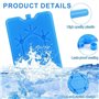 Bangbobi Packs de Glace pour Sacs isothermes - 4 pièces de 200 ML chacune - Éléments de Refroidissement réutilisables Ultra-Minc