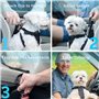 elloLife Ceinture Chien Voiture,【2 Pièces】 Harnais Universel, Ceinture de Sécurité Indéchirable Durable Réglable 50-90cm pour To
