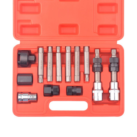 DAYUAN 13 pièces poulie roue libre alternateur voiture garage kit outils Hex Spline Star Bits