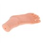 Sharplace Mannequin de Pied de Femmes 21,5 cm, Moule de Sandale de Chaussure Présentoir en Plastique pour Chaussettes Bijoux Cha