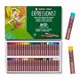 Cray Pas Expressionist Lot de 50 Pastels à huile couleurs Assortis