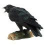 Nemesis Now Figurine appeau de Corbeau Noir 16 cm
