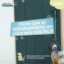 Harnais pour Chien Coachi