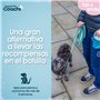 Harnais pour Chien Coachi