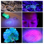 LEDGLE Lampe de Poche UV Lampe de Torche 100 LEDs Ultra Violet pour Animal Domestique d'urine Détecteur de Taches-Noir