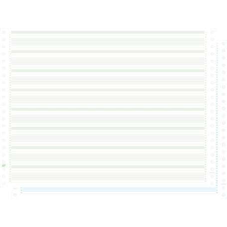 Exacompta 63612E 1000 Feuilles de Listing Autocopiant Zone Vert/Bleu 380 X 11 Bandes Caroll Non Detachables