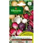 Vilmorin Radis Ronds Mélange de Couleurs 3884442