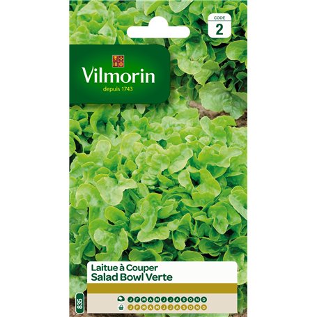 Vilmorin 3609742 Pack de Graines Laitue à Couper Salade Bol Vert