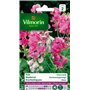 Vilmorin 5630142 Pois vivace varie Multicolore 9 x 0