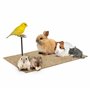 La Cordeline Lot 6 Tapis Litière Chanvre Naturel 25 x 40 cm 1000g/m² - Fond de cage pour Rongeurs, lapins, hamster…