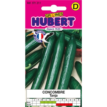 25 Graines de Concombre Tanja