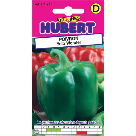 Graines de Poivron Yolo Wonder - 1 gramme