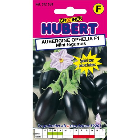 10 Graines d'Aubergine Ophélia F1 Mini-légumes