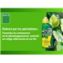 BHS Engrais Plantes Vertes - 500 mL - Soit 125 L - Engrais Plantes Vertes De La Maison EPVI500