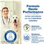 DOUXO S3 SEB Mousse Soin Anti-Odeur et séborégulateur sans rinçage, pour Chiens et Chats avec des pellicules, Poils Gras et Mauv