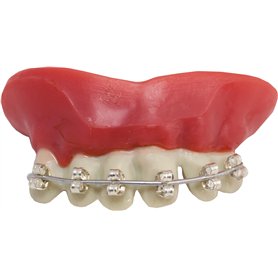 P'TIT CLOWN - Dentier Appareil Dentaire - Parfait pour Déguisement d'halloween