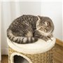 PawHut tonneau à gratter pour Chat Arbre à Chat sisal Naturel et herbiers Marins recouvert de Peluche 37,5 x 37,5 x 70 cm Kaki e