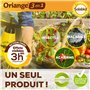 Oriange Traitement Total 3 en 1 | Insectes Acariens Maladies | 100ml | 25L de Solution | Rosiers Arbres et Arbustes | A Base d’H