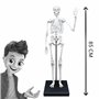 Buki - 2181 - Squelette 85cm