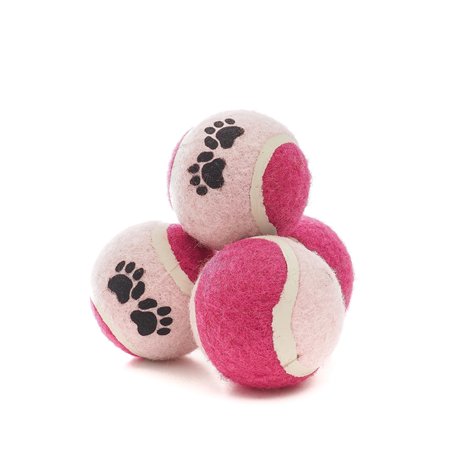 ZAMIBO Filet de 4 Mini balles de Tennis diam.4 cm