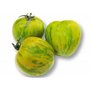 50 graines à semer - Le Grenier d'Abondance - TOMATE Green Zebra - Solanum Lycopersicum