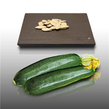 15 graines à semer - Le Grenier d'Abondance - COURGETTE Diamant Hybride F1 - Cucurbita Pepo