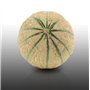 20 graines à semer - Le Grenier d'Abondance - MELON Charentais - Cucumis melo