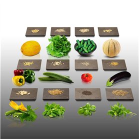 Lot de 1800 graines à semer - Le Grenier d'Abondance - Potager du Printemps - 12 sachets individuels