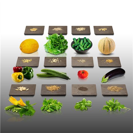 Lot de 1800 graines à semer - Le Grenier d'Abondance - Potager du Printemps - 12 sachets individuels