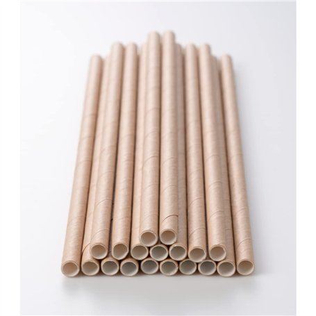Paille Carton Kraft Biodégradable | Lot de 250 Pailles Jetables Droites 20 cm | Pailles Ecologiques | Recyclables et Compostable