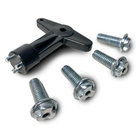 4 Vis de Verrouillage + Clé de Fixation d’enjoliveur Antivol compatible pour Clio II III