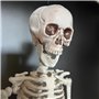 THE REPLICANT Squelette à Suspendre en Plastique/Hauteur : 40 cm