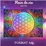 Fleur de vie pour recharger les pierres (Recto) et Cube de Métatron (Verso) – Format A4 – 1 Planche Unique Plastifiée et Imprimé