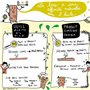 (Sol-éco) Huile Pure Tung | Protection et entretien du bois intérieur/extérieur | Contact alimentaire | Meubles de jardin, plan 