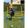JUMPFEAT© Kit d’Accessoires Premium d'entraînement Sportif |Plots/Disques/Barres| – Cônes avec Fixation |Haies| pour Football, C