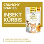 GimCat Crunchy Snacks Insecte à la Citrouille – Friandise pour Chat croustillante et Riche en protéines – 1 Sachet (1 x 50 g)