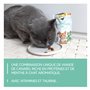 GimCat Crunchy Snacks Canard avec Herbe à Chat - Friandise pour Chat croustillante et Riche en protéines - 1 Sachet (1 x 140 g)