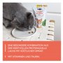 GimCat Crunchy Snacks Saumon et épinards – Friandise pour Chat croustillante et Riche en protéines – 1 Sachet (1 x 50 g)