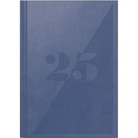 rido/idé Mentor Agenda 2025