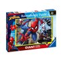 Collection Giant Sol - Idée Cadeau pour Enfants 4 Ans - Jeu éducatif et Stimulant - 60 pièces g