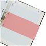 Limit Lot de 100 intercalaires perforés en carton 180 g/m² 5 couleurs