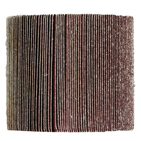 Original Einhell Brosse à lamelles abrasives 120x100 mm (accessoire de décapeur à rouleau