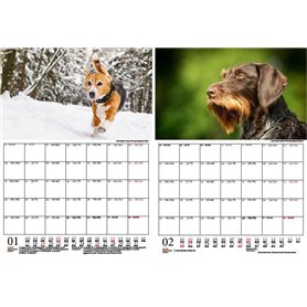 Connex COX875080 Étau COMBICLAMP 80 mm 80 mm