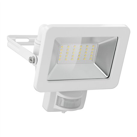 goobay 53882 Projecteur détecteur de Mouvement – Spot LED 30 W – Blanc Neutre 4000 K – 2560 LM – Angle d'éclairage 100 ° – Indic